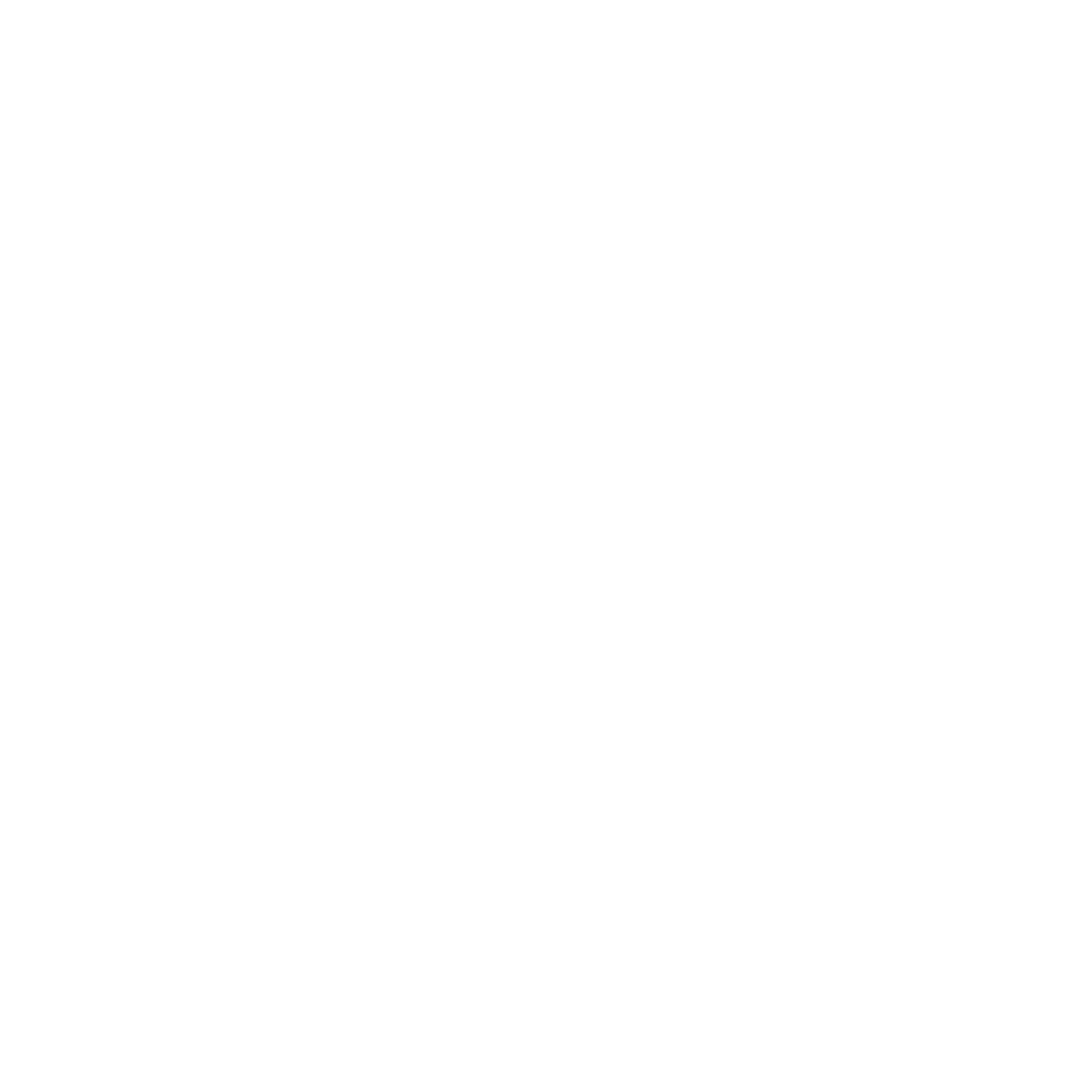 logo-blanc-SJ